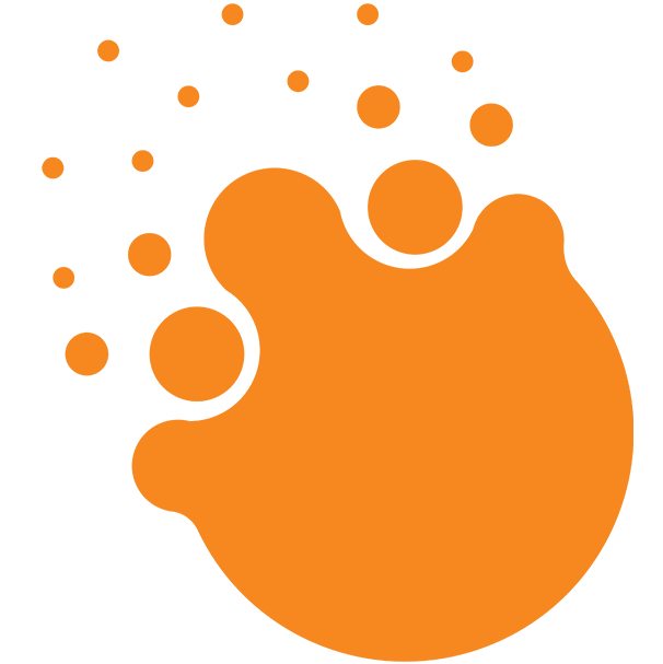 thynkWISE logo – business execution platforms